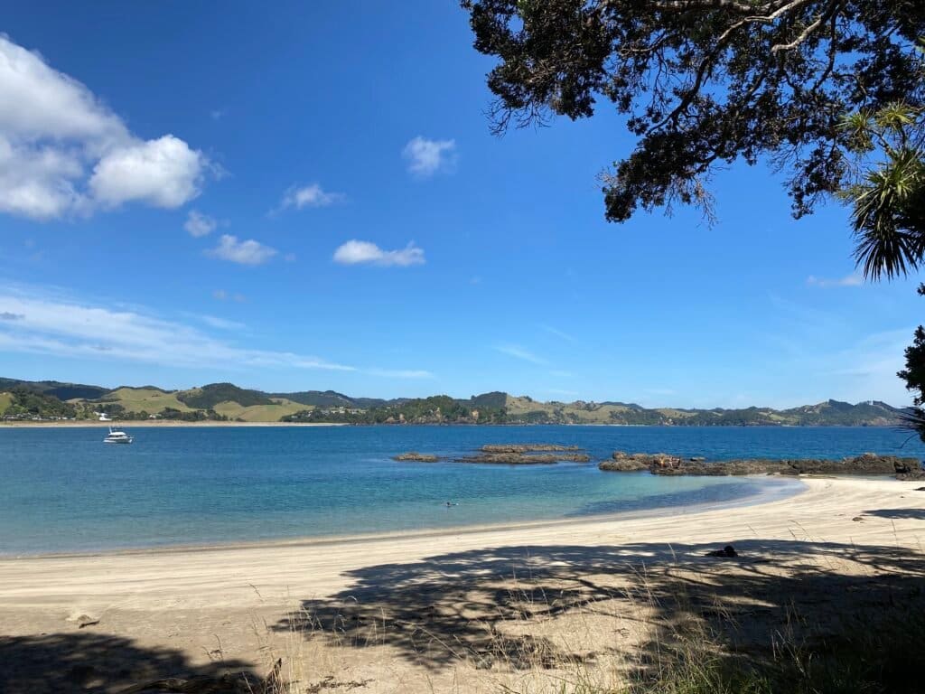 IMG_7806 Whale's Bay, Northland New Zealand