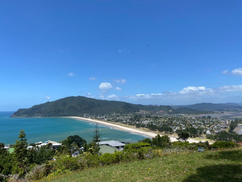 Mt Paku, Coromandel