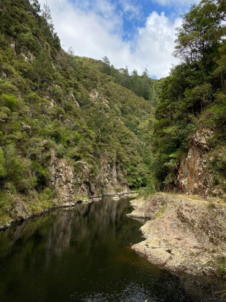 Karangahake Gorge Lookout, Coromandel