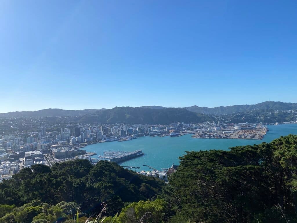 Mt Victoria Viewpoint, Wellington