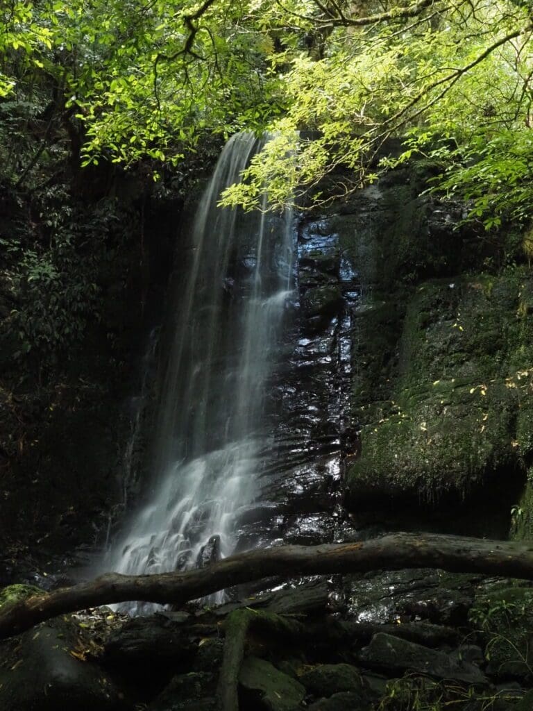 Mate Falls, Catlins National Park, New Zealand