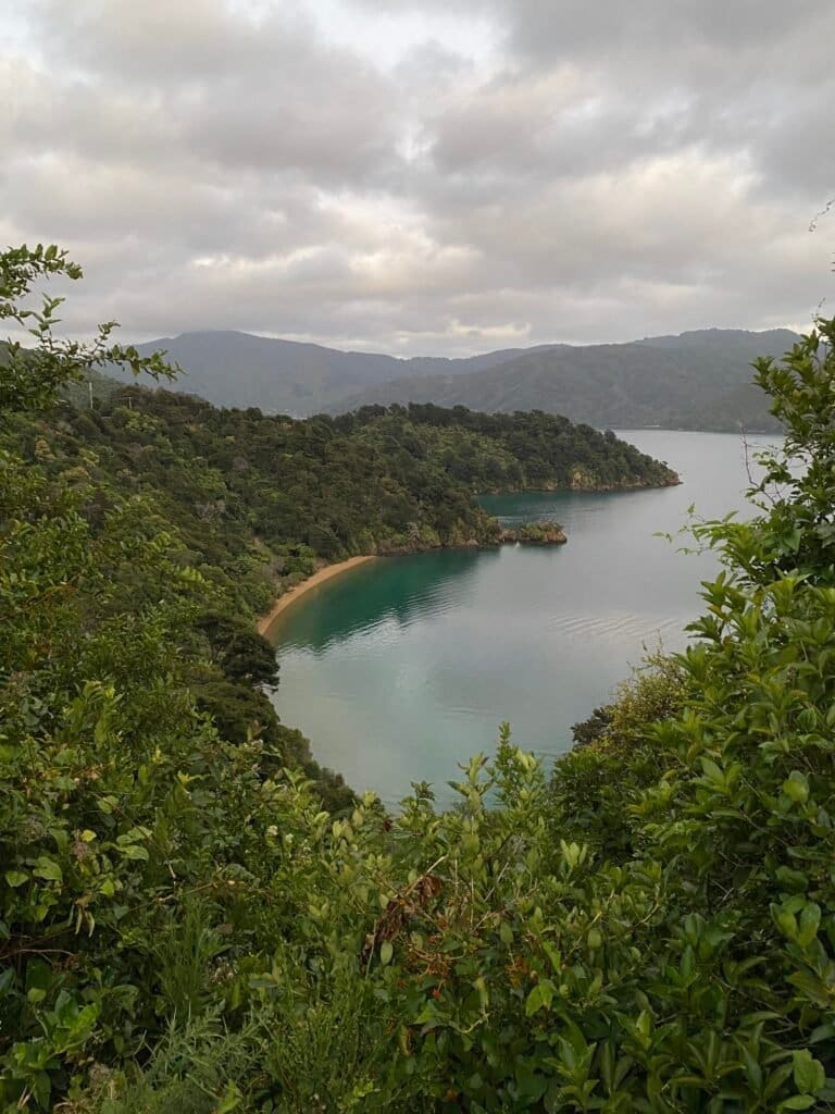 Lookout point from Queen Charlotte Drive, South Island New Zealand