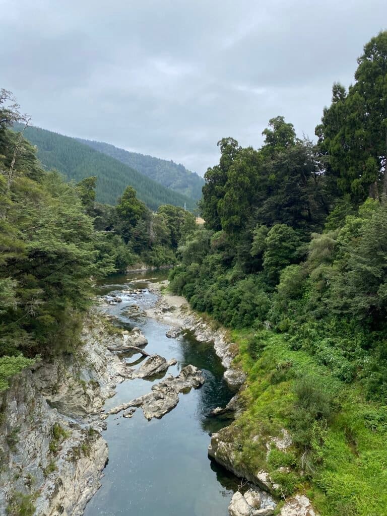 Pelorus Bridge Scenic Reserve, New Zealand