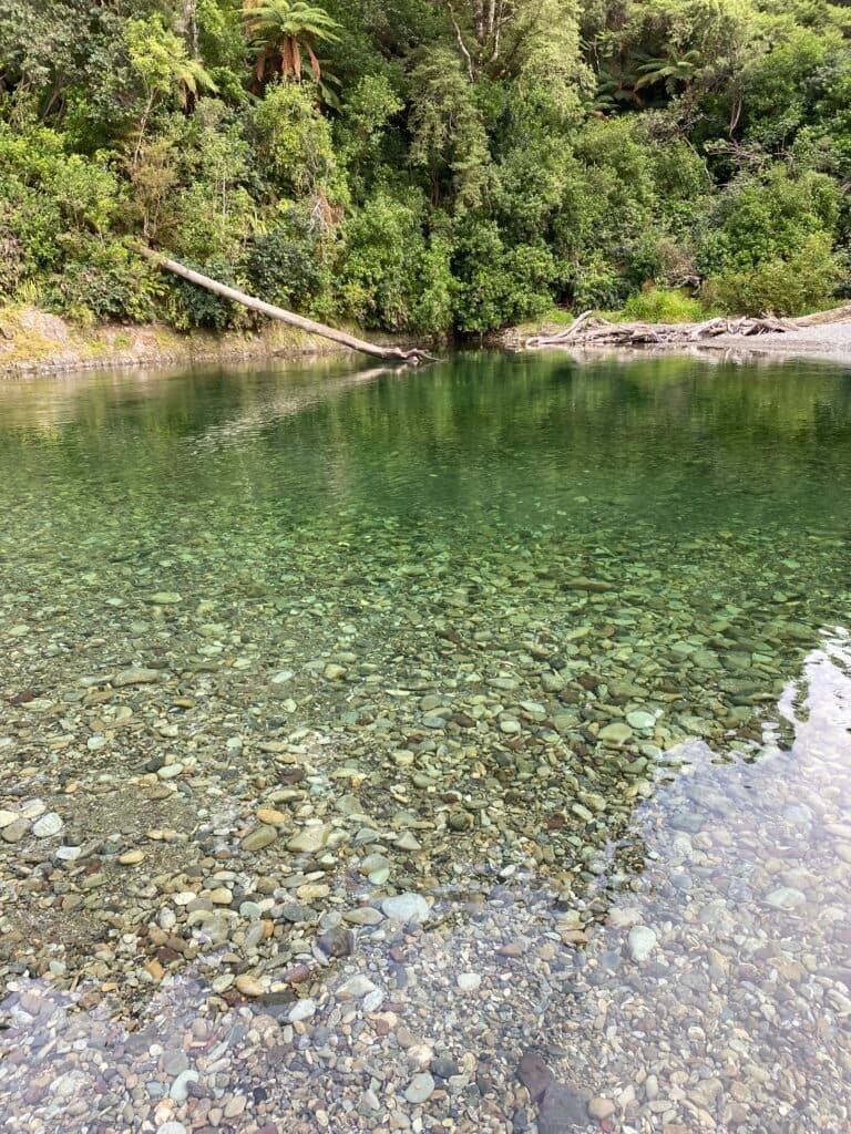 Clear water on Pelorus Bridge Scenic Reserve