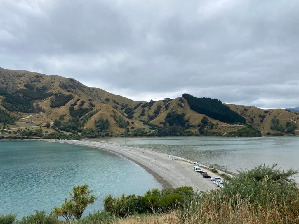 Cable Bay lookout point, New Zealand