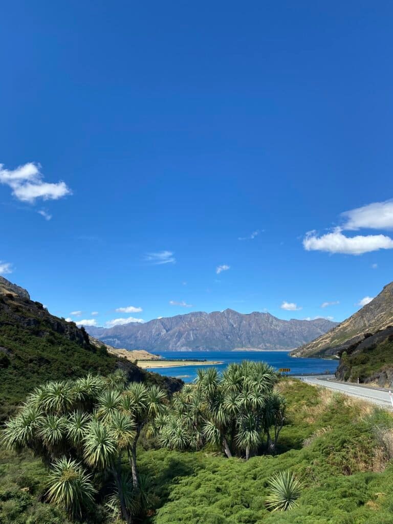 Top of Lake Hāwea Road, New Zealand